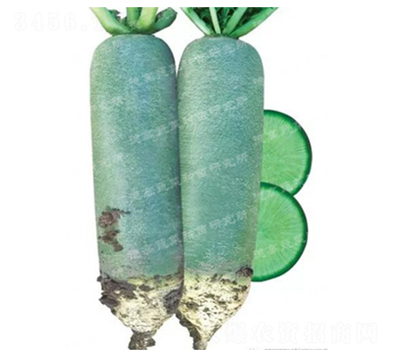 ����-ˮ���}���N��-�¸�