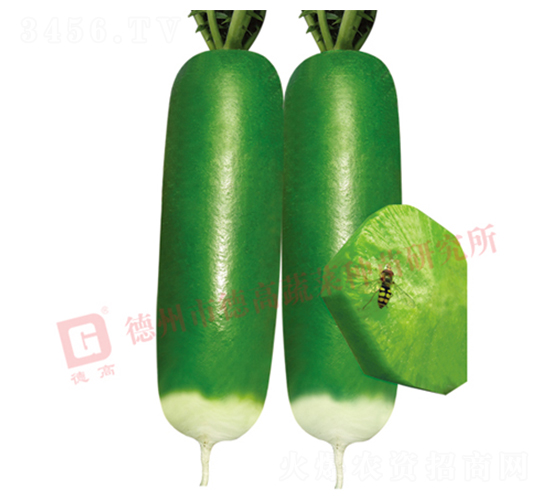 ���}��-ˮ���}���N��-�¸�