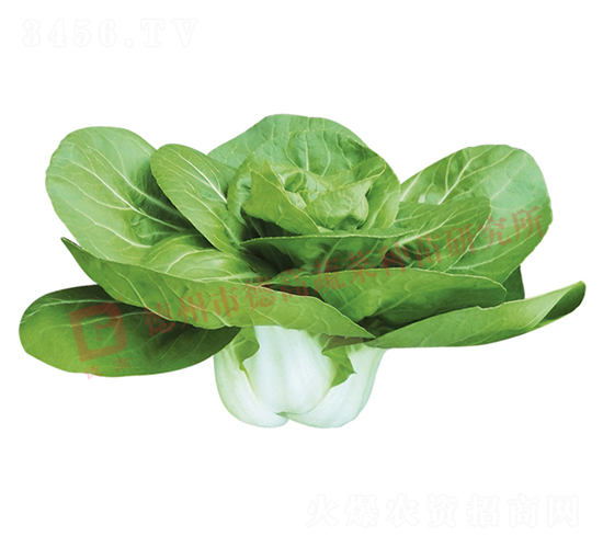 ���Z��1508-�׹��˷N��-�¸�