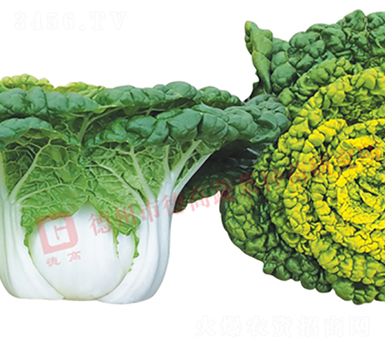 ���6̖-�׹��˷N��-�¸�