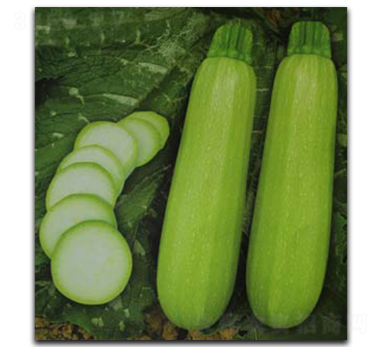 ���-�����J�N��