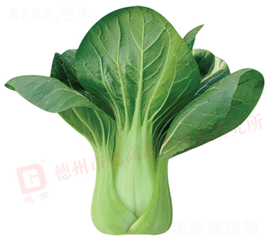 �¸�578-�๣�˷N��-�¸�