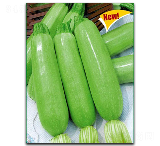 �~�ͺ�-�����J�N��