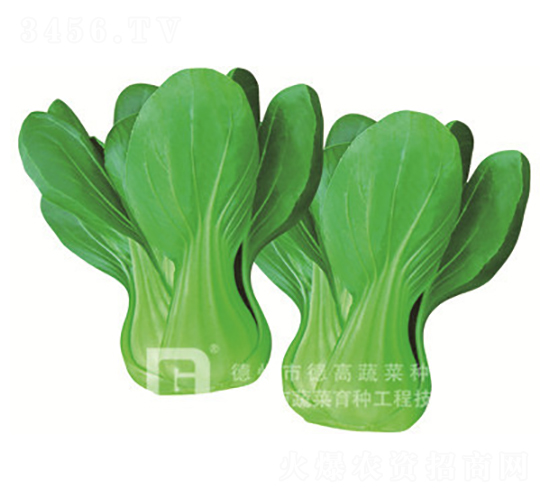 ���_������-�¸�965-�๣�˷N��-�¸�