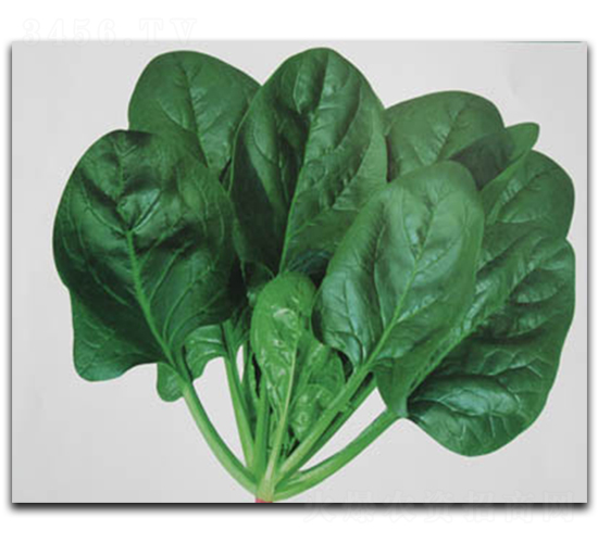 ����-���˷N��