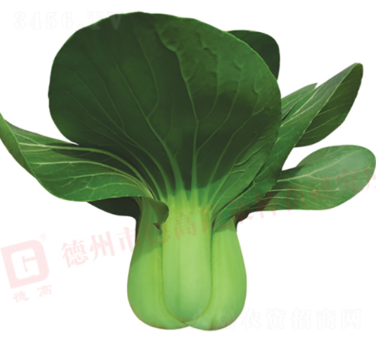 ���_������-�¸�583-�๣�˷N��-�¸�