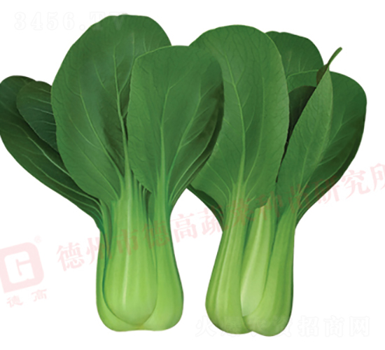 �ľG2̖(h��o)-�๣�˷N��-�¸�