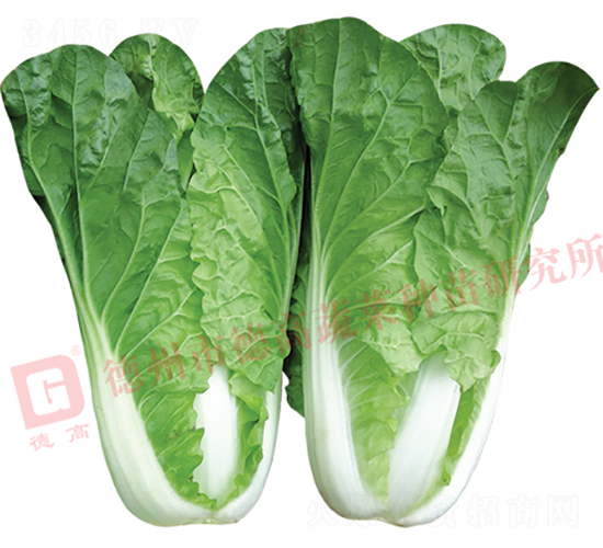 ̩�-��˷N��-�¸�