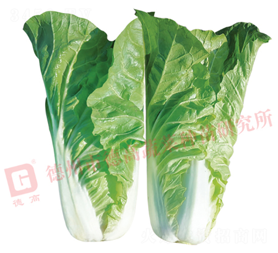 �¸�1784-��˷N��-�¸�