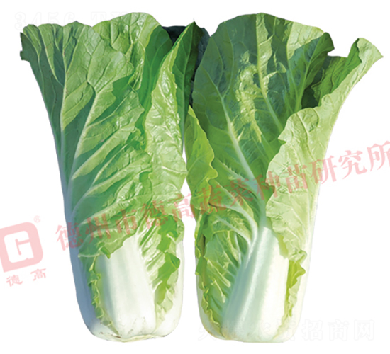 �¸�1832-��˷N��-�¸�