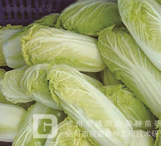 �¸߽����S-���޲˷N��-�¸�