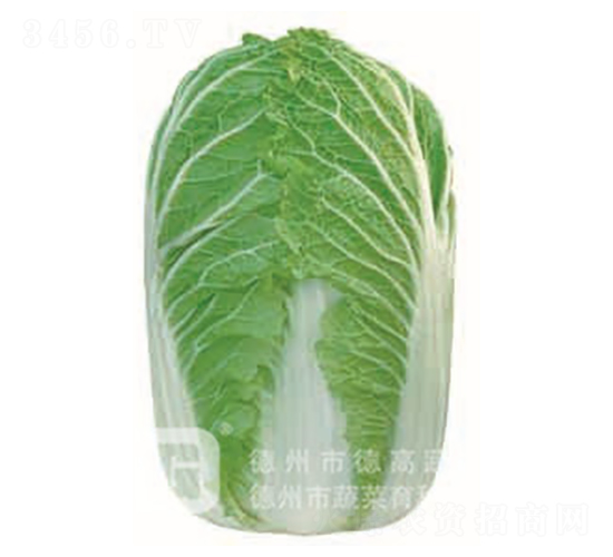 �¸�18-��ײ˷N��-�¸�