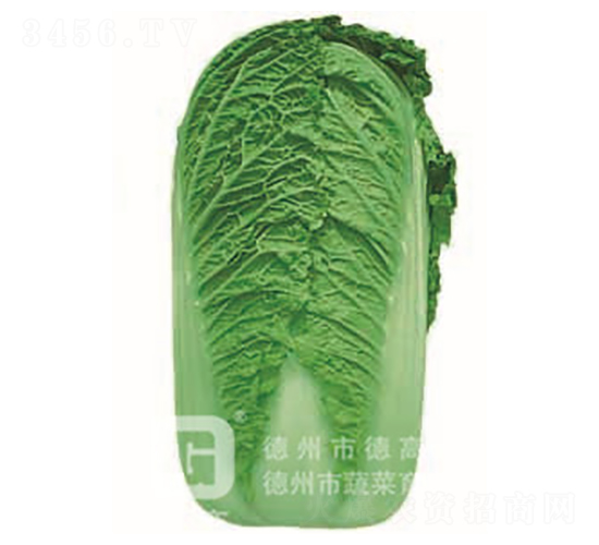 ���G���h-��ײ˷N��-�¸�