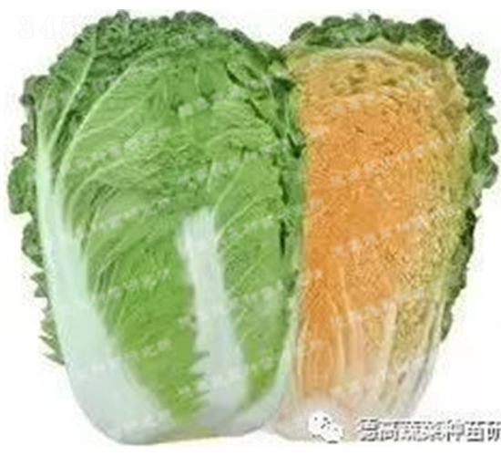 �t��܊298-��ײ˷N��-�¸�