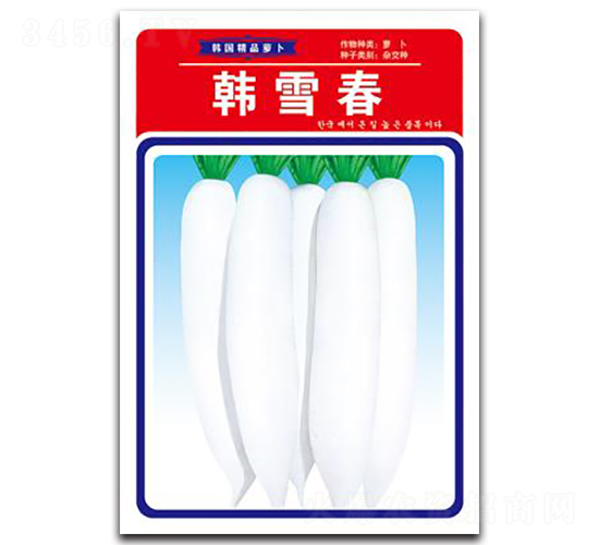 韓雪春-蘿卜種子-鑫園世家