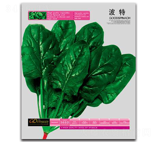 ����-���˷N��-�Έ@����