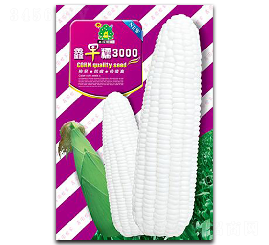 鑫早糯3000-玉米種子-鑫園世家