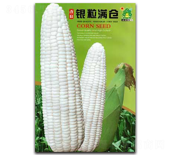 改良銀粒滿-玉米種子-鑫園世家