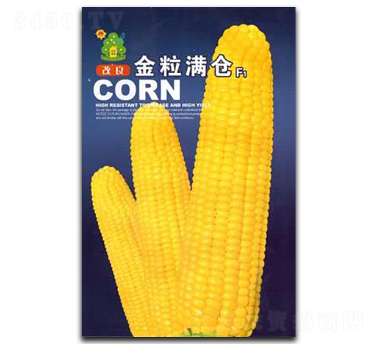 ���������M�}-���׷N��-�Έ@����