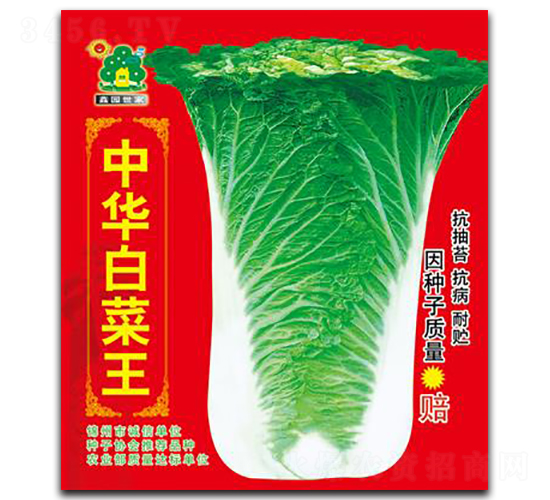 中華白菜王-白菜種子-鑫園世家