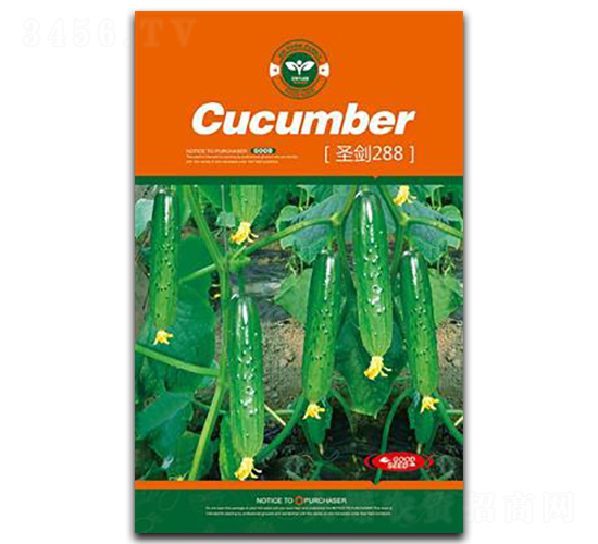 圣劍288-黃瓜種子-鑫園世家