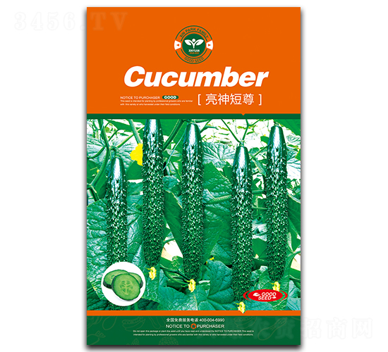 亮神短尊-黃瓜種子-鑫園世家