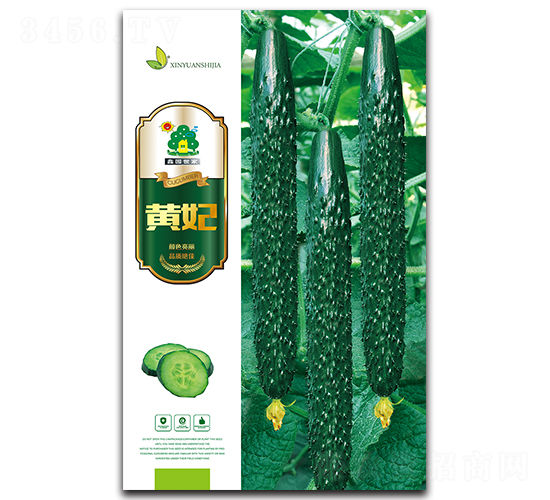 �S��-�S�ϷN��-�Έ@����