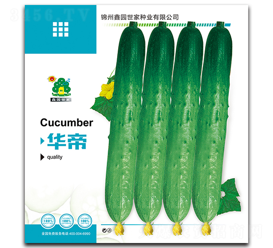 �A��-�S�ϷN��-�Έ@����