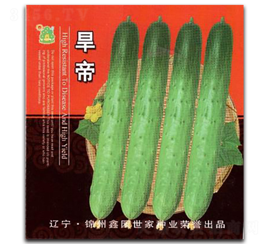 ����-�S�ϷN��-�Έ@����