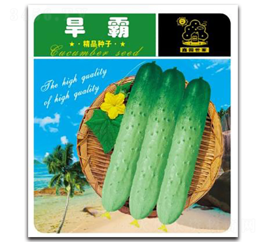 ����-�S�ϷN��-�Έ@����