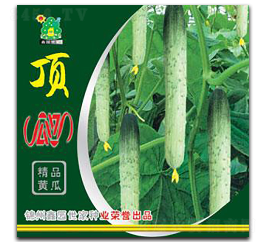 픹Ϲ�-�S�ϷN��-�Έ@����