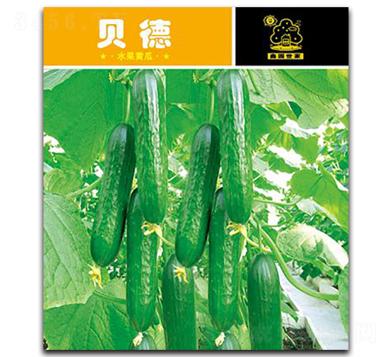 ؐ��-�S�ϷN��-�Έ@����