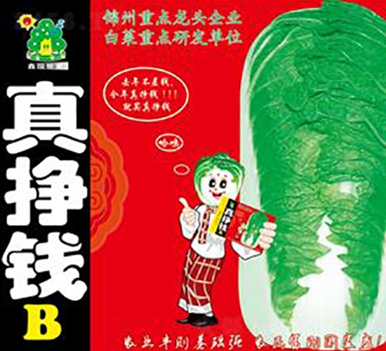 真掙錢B-白菜種子-鑫園世家