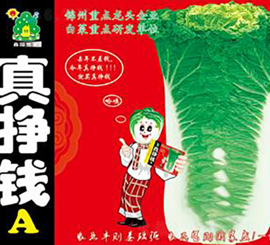 ����XA-�ײ˷N��-�Έ@����