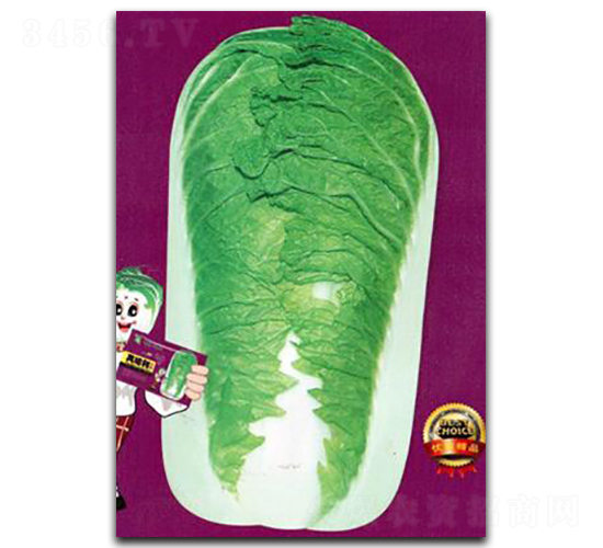 真給利B-白菜種子-鑫園世家