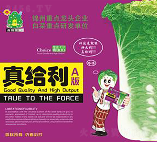 真給利A-白菜種子-鑫園世家