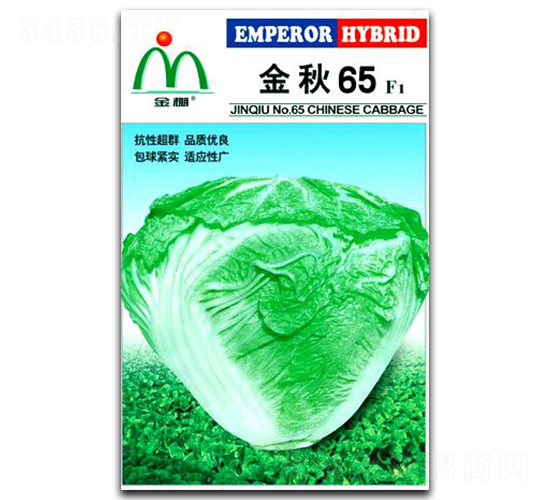 金棚金秋65大白菜-白菜種子