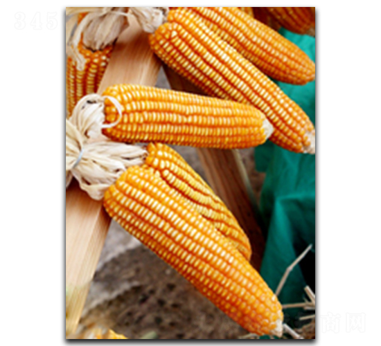 ����958-���׷N��