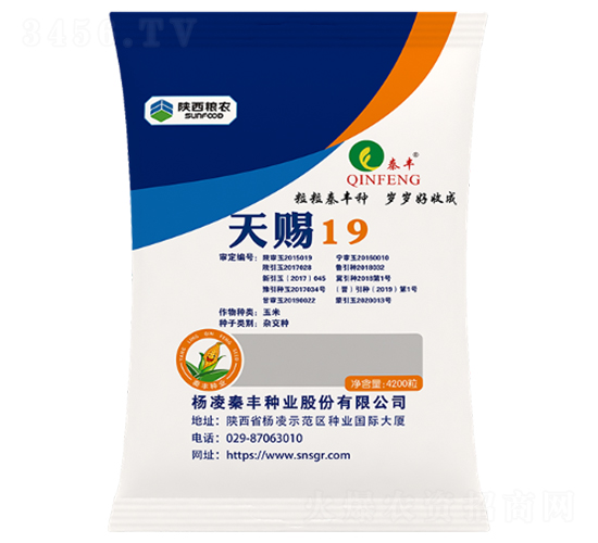 天賜19-玉米種子