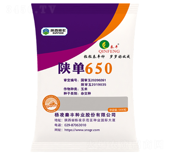陜單650-玉米種子