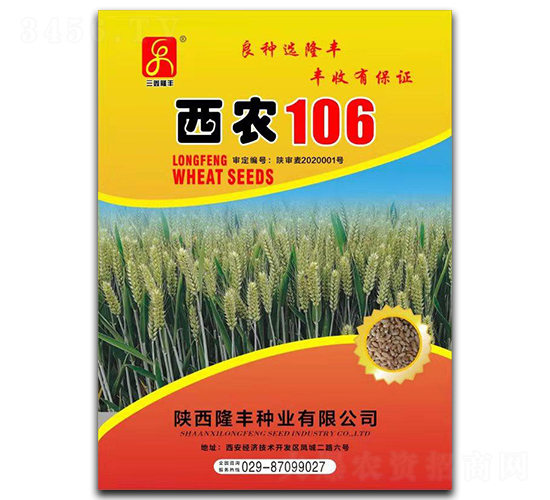 西農106-小麥種子