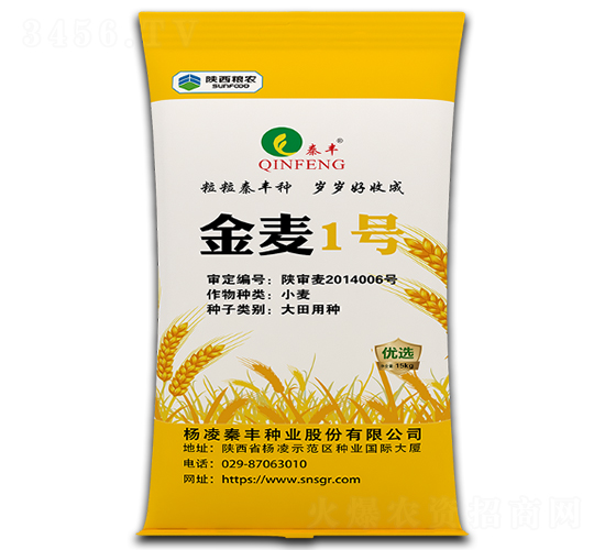 金麥1號-小麥種子