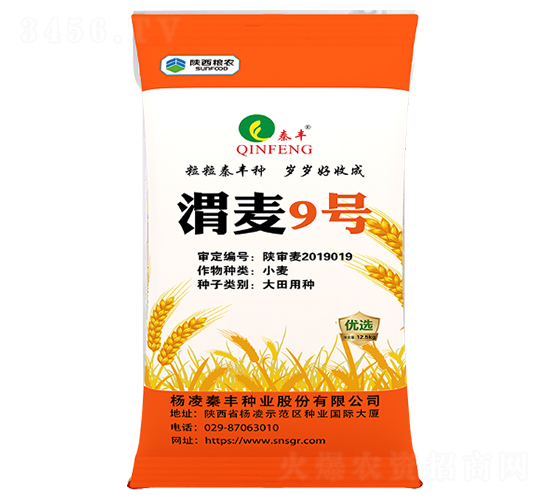 渭麥9號-小麥種子