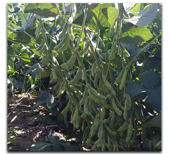 �F��77-ë���N��-ï�A�N�I(y��)