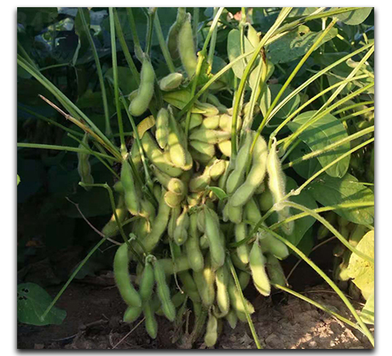 �|�rһ̖-ë���N��-ï�A�N�I(y��)