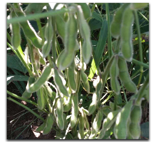 �_(t��i)��75-3-ë���N��-ï�A�N�I(y��)