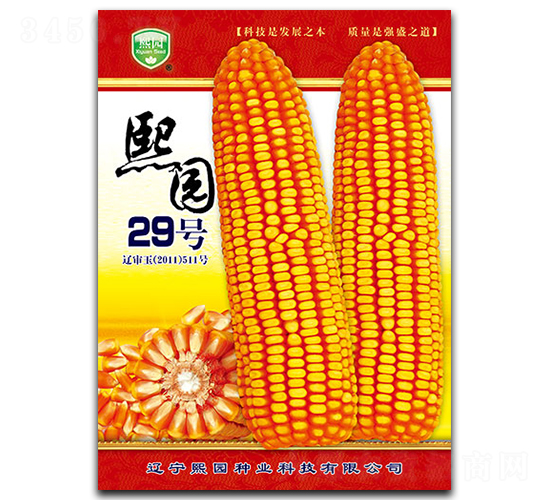 熙園29號-玉米種子-熙園種業(yè)