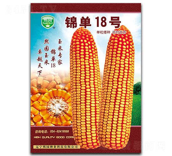 錦單18號(hào)-玉米種子-熙園種業(yè)