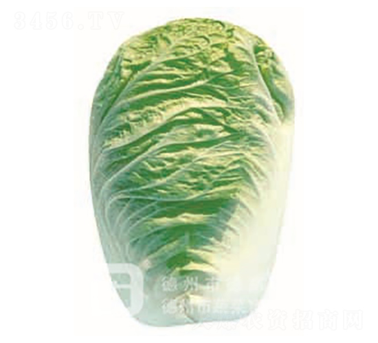 ���01-��ײ˷N��-�¸�