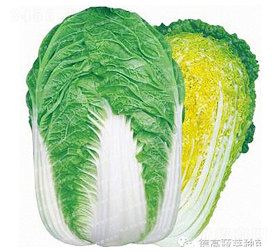 �r(n��ng)��27-��ײ˷N��-�¸�